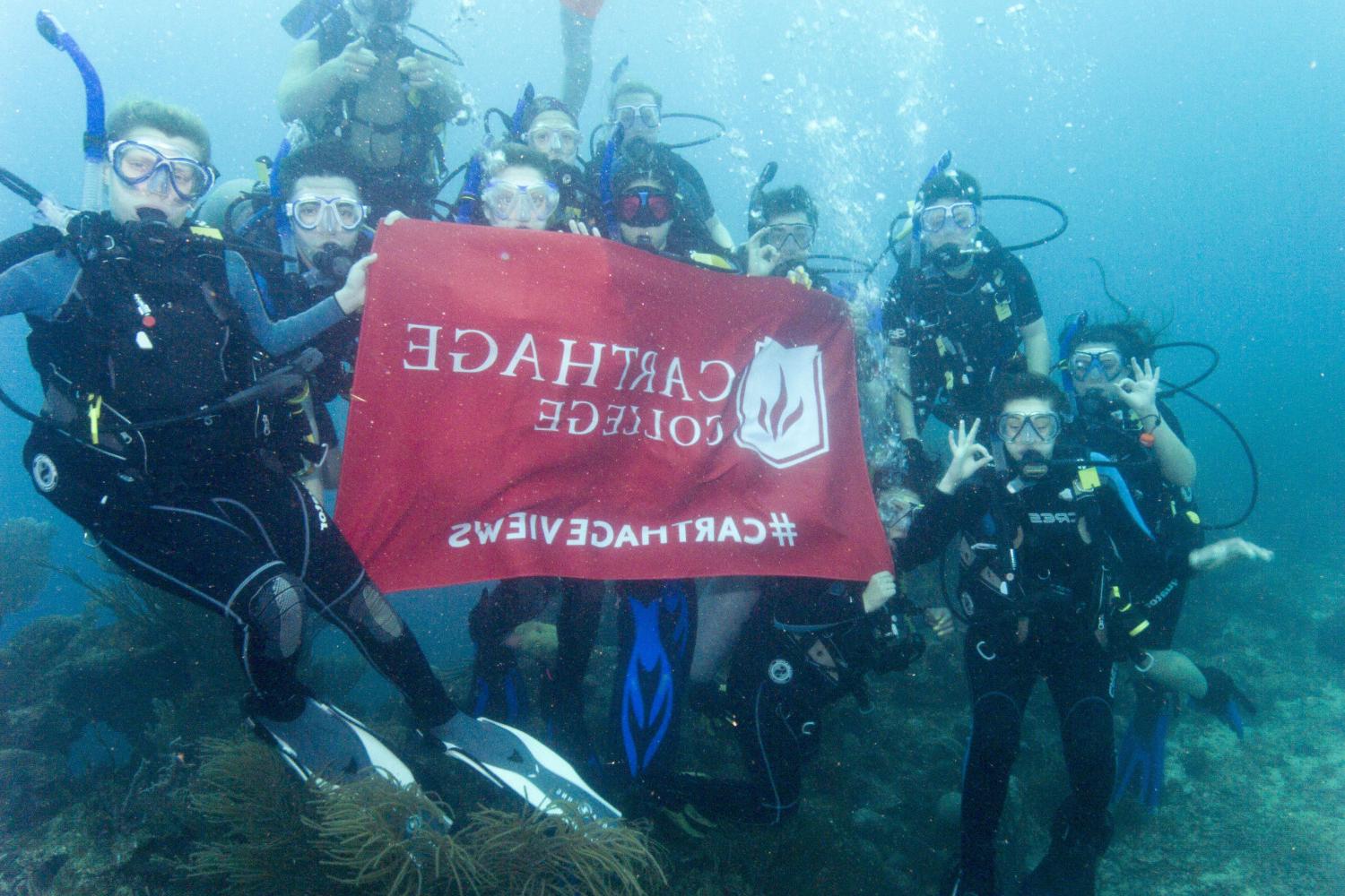 学生们手持<a href='http://itsn.ngskmc-eis.net'>博彩网址大全</a>旗帜，在j学期洪都拉斯游学之旅中潜水.